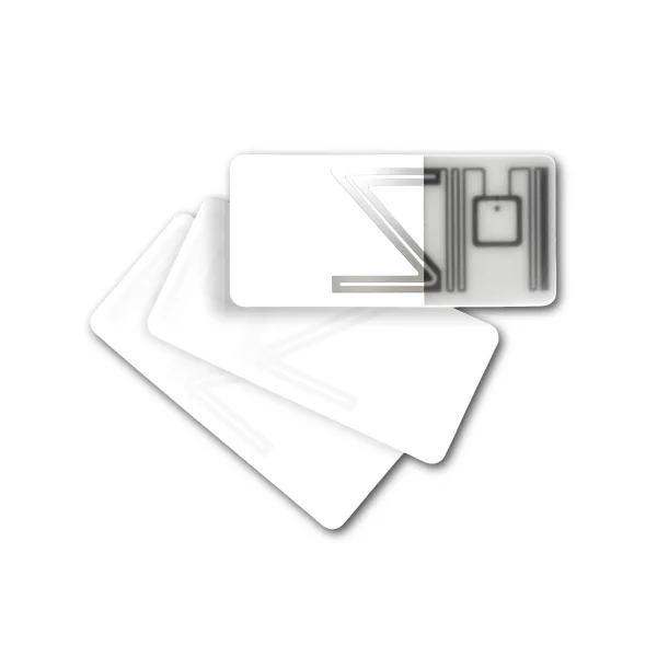 ETICHETTA RFID LB009