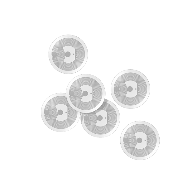 LB029_group
