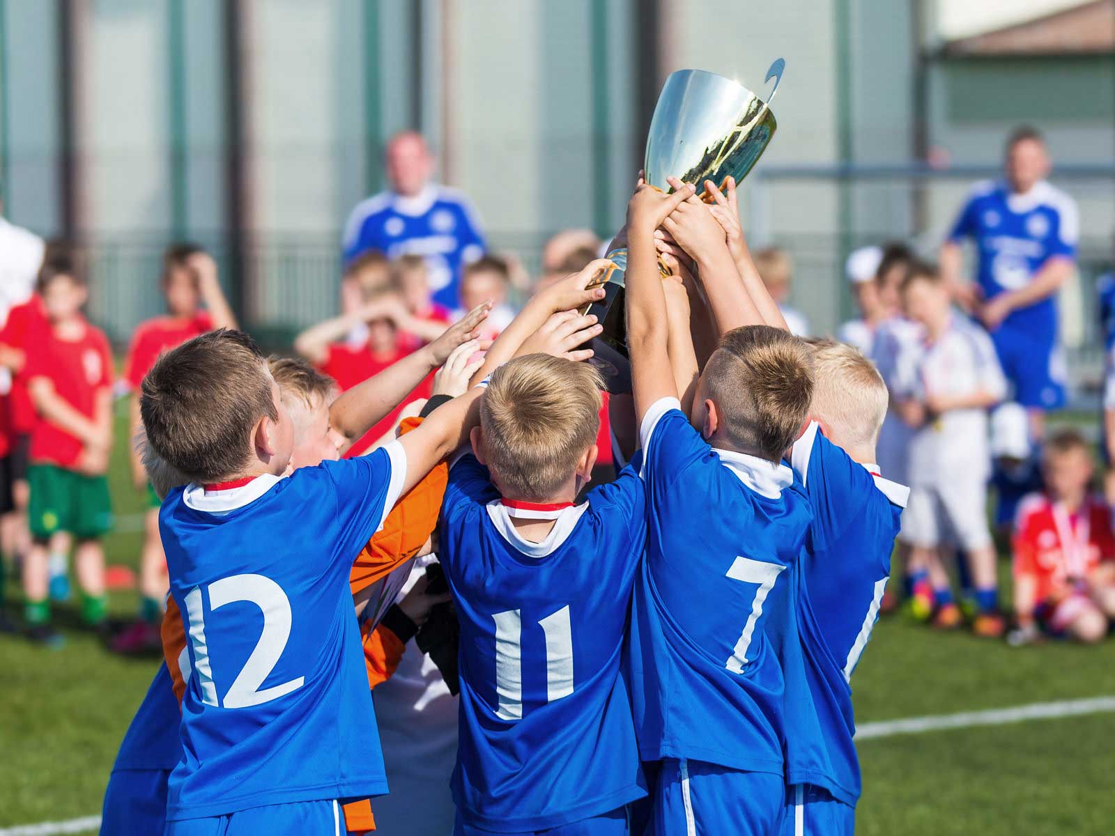 Federazione sportiva dilettantistica