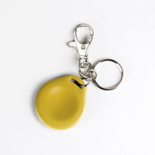 KF001_yellow