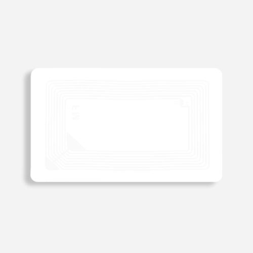 LB008_single_2
