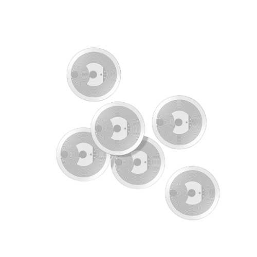 LB029_group